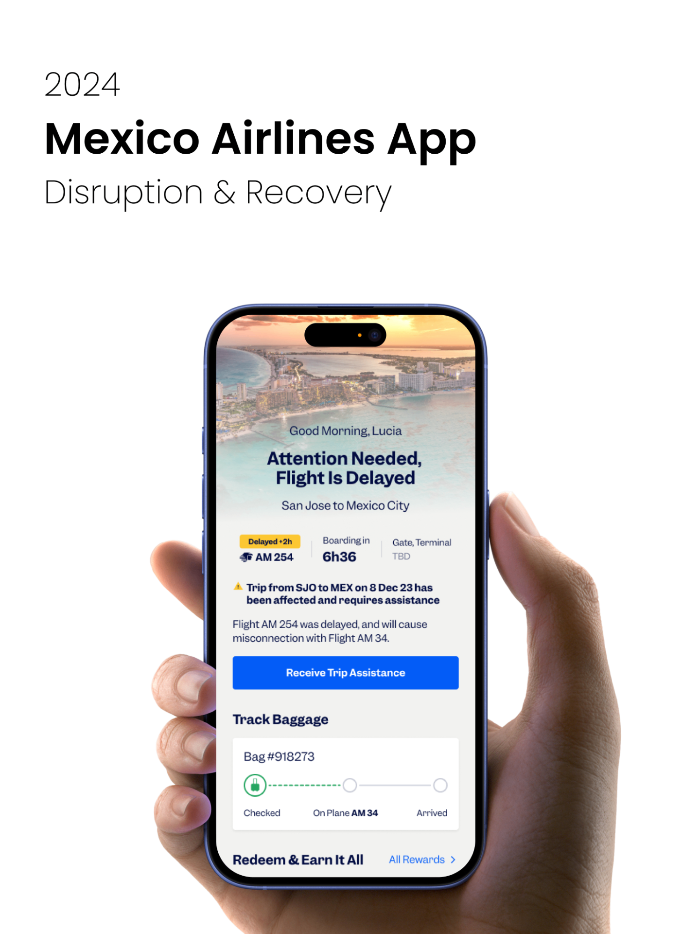2024 — Mexico Airlines App, Disruption & Recovery